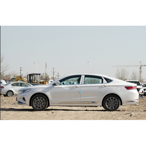 geely borui ev voiture electrique adulte carros veicoli per adulti adulti eec elettrico auto